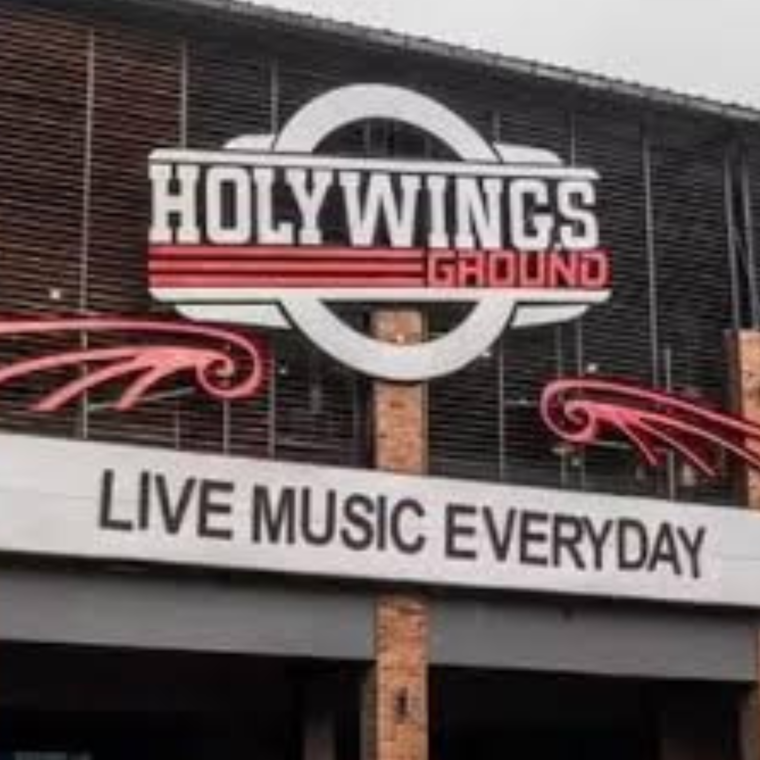 Andrew susanto, hollywings, hotman Paris, thimoty Ronald, nikita mirzani, bitcoin